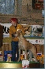 IMG_6203.JPG